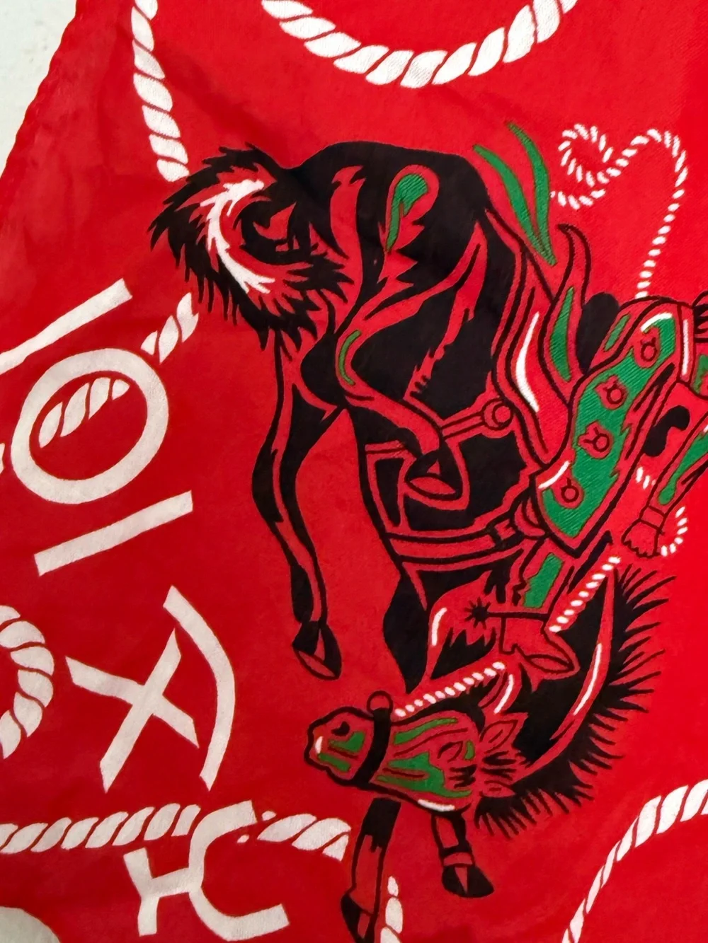 🆓 Western Rodeo Print Bandana Scarf in Red